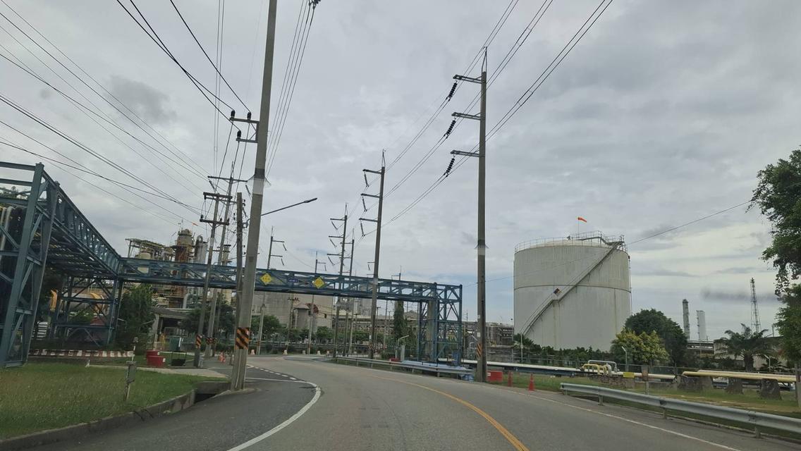 ขายที่สีม่วง 4,5,6 ไร่ ต.บางนาง ต.บ้านเก่า ต.พานทอง จ.ชลบุรี 3