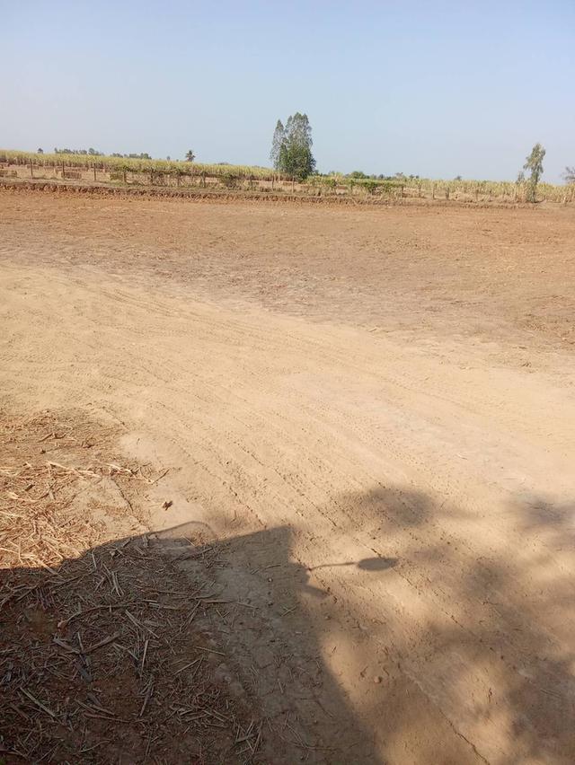 ที่ดินเปล่าที่นา ทำเลดีราคาถูก 2