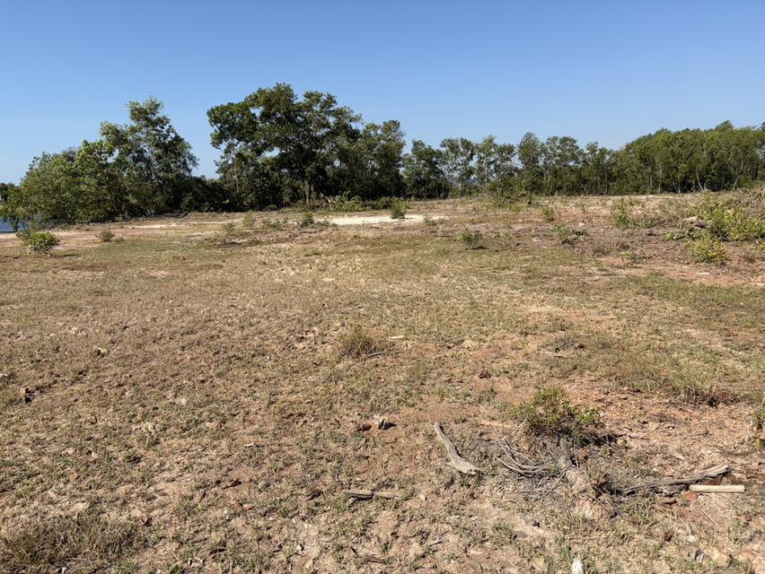 ขายที่ดินเปล่า แหลมแม่พิมพ์ อำเภอแกลง จ.ระยอง จำนวน 9 ไร่ 19 ตารางวา 9