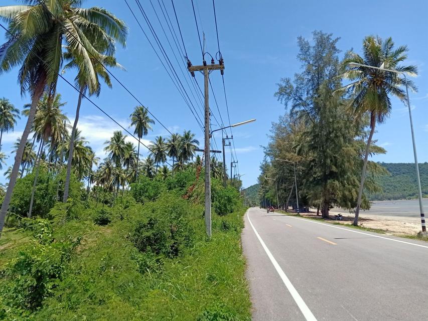 ขาย ที่ดิน ขายที่ดินริมชายหาด - 5 ไร่ 2 งาน 19 ตรว 2