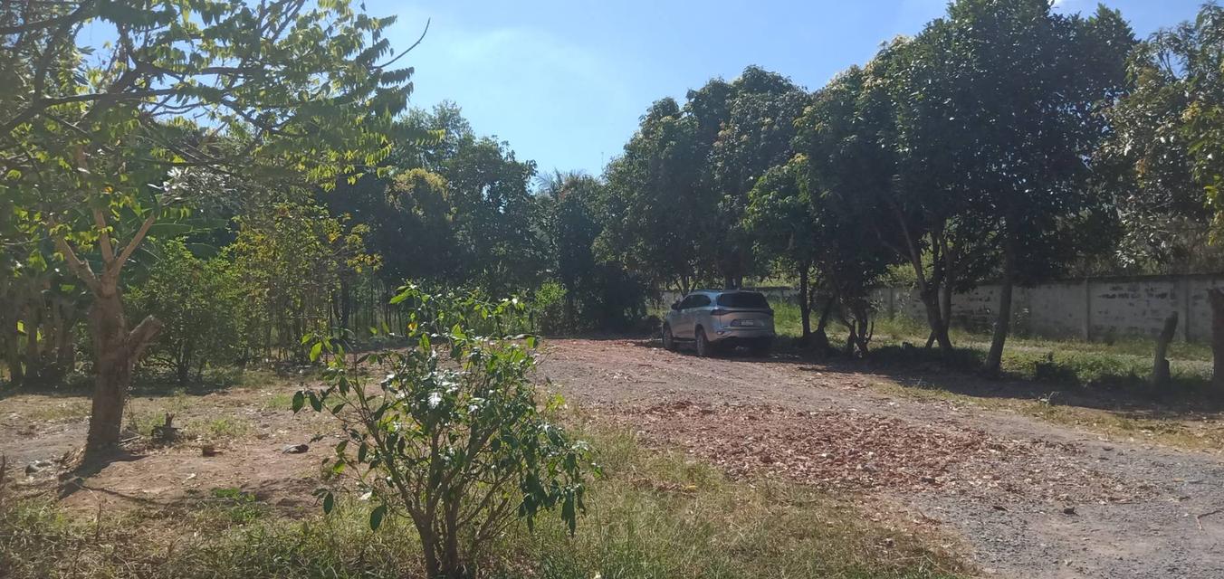 ขายที่ดินเปล่า 1 ไร่ ต.บ้านลำ อ.วิหารแดง สระบุรี หลัง รพ.วิหารแดง น้ำประปา ไฟฟ้าพร้อม บรรยากาศดี เหมาะสำหรับการพักอาศัย Tel 0818413784 6