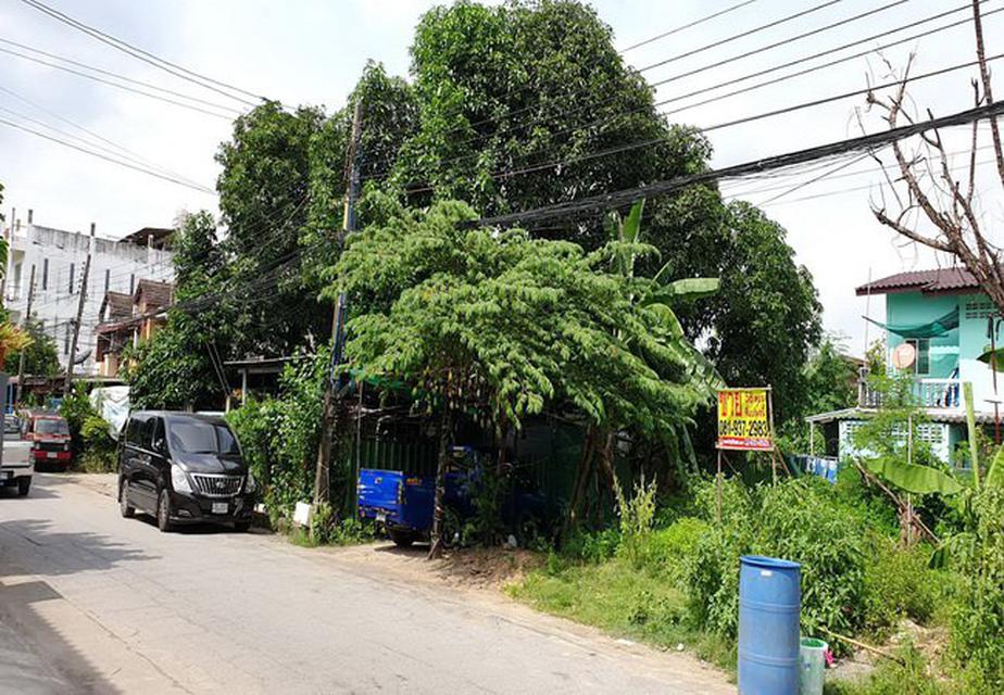 ขายที่ดิน คลองกุ่มนิเวศน์ ซอยเสรีไทย 41 ถนนเสรีไทย เขตบางกะปิ กรุงเทพมหานคร 1