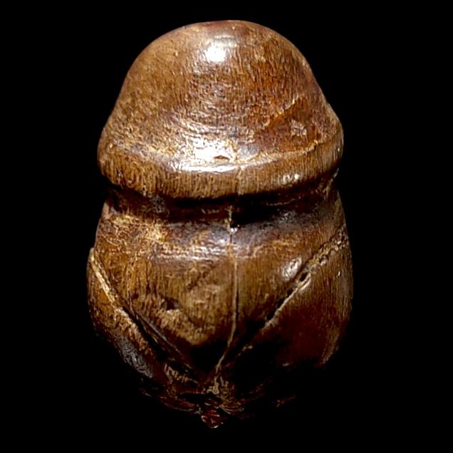 ปลัด ปุ้มปุ้ย เนื้อไม้ จารหมึก เก่า