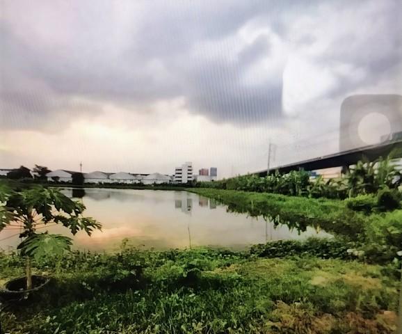 FOR SALE ที่ดินผังสีแดง 21 ไร่ Rare Item  ติดถนนบางนา – ตราด กม.12  ที่ดินแปลงใหญ่ศักยภาพสูง 6