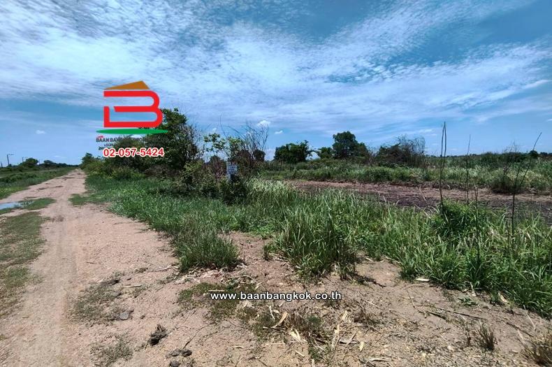 ที่ดิน เนื้อที่ 150 ตร.ว. คลอง 22 ศีรษะกระบือ ใกล้วัดราษฏร์ศรัทธาธรรม ถนนลำลูกกา ตำบลศีรษะกระบือ อำเภอองครักษ์ นครนายก 2