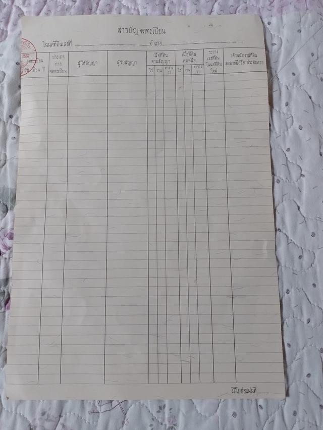 ที่โฉนดครุฑแดง2ไร่ จังหวัดน่าน สำหรับสร้างบ้านหรือบ้านสวน 6