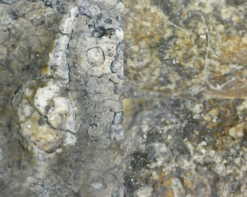 พระสมเด็จวัดระฆัง สองคลอง รูปที่ 11