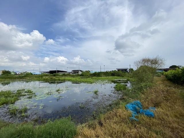 ขายที่ดินเปล่า ทำเลดี เจ้าของขายเอง ตำบลคลองด่าน อำเภอบางบ่อ สมุทรปราการ 16