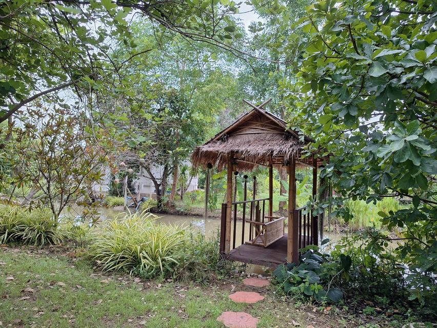 ที่ดินบ้านโป่ง จ.ราชบุรี ใกล้ทางด่วนสาย 81 บางใหญ่-กาญจนบุรี ที่ดินติดน้ำ โฉนดครุฑแดง พร้อมโอนกรรมสิทธิ์ 20