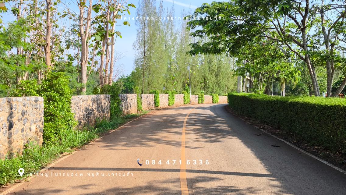 เขาใหญ่ | ปากช่อง โซนหมูสี *ด้านหลังติดเขา* ใกล้ MADAME VALLEY(มาดามแป้ง) เนื้อที่ 4-3-69 ไร่ ราคา 3.5 ล้าน/ไร่ 4