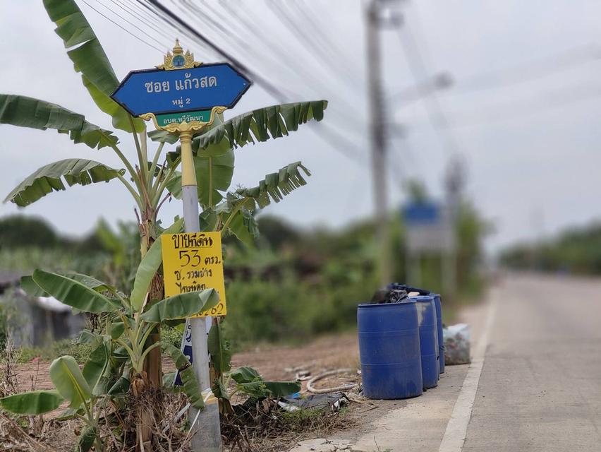 ที่ดินสวนเกษตร ไทรน้อย จ.นนทบุรี โฉนดครุฑแดง ถมแล้ว น้ำไฟถึงที่ดิน 1