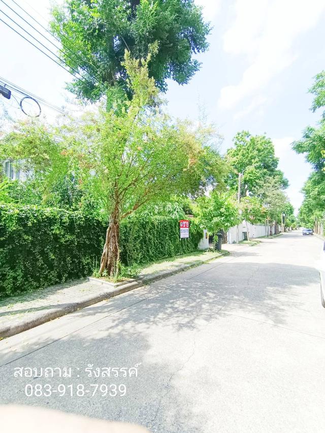 🏡 บ้านหรูหลังใหญ่ บ้านลาดพร้าว ทำเลศักยภาพเลียบด่วนรามอินทรา–เอกมัย ซอยโยธินพัฒนา 11 3