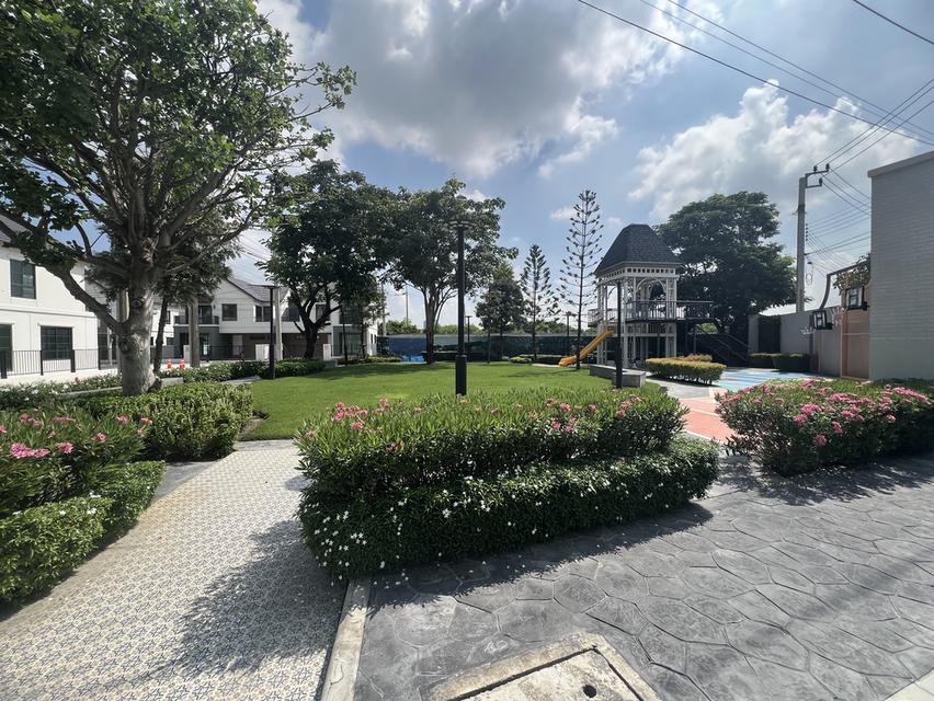 The Plant บางนา กม.5 ศรีนครินทร์ 20