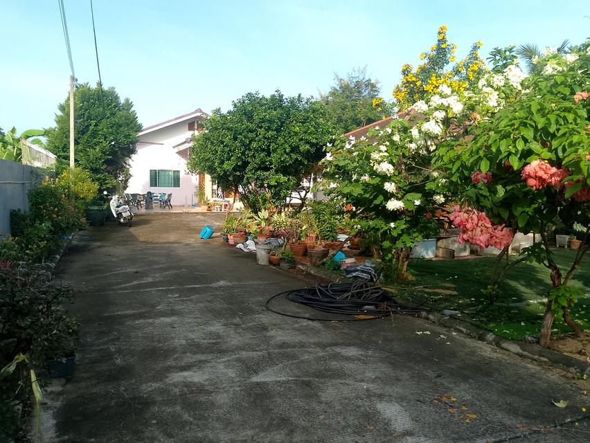 บ้านเดี่ยวราชบุรีเนื้อที่261ตารางวา2งานพร้อมตกแต่ง 6