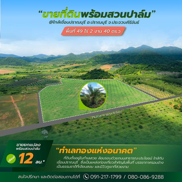 ที่ดินพร้อมสวนปาล์ม ใกล้เขื่อนปรานบุรี 4