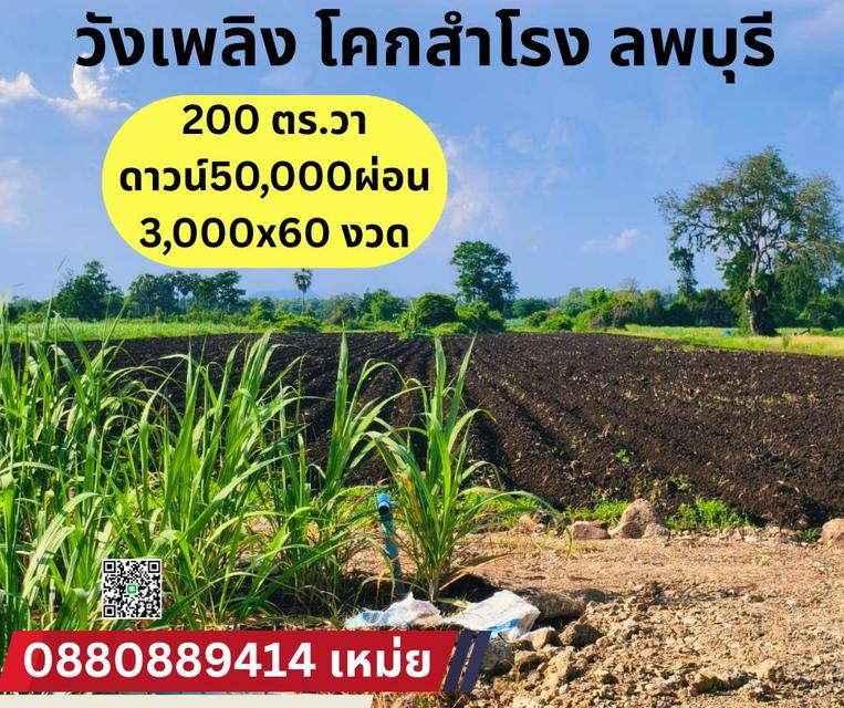 ที่ดิน วังเพลิง โคกสำโรง จ. ลพบุรี 1