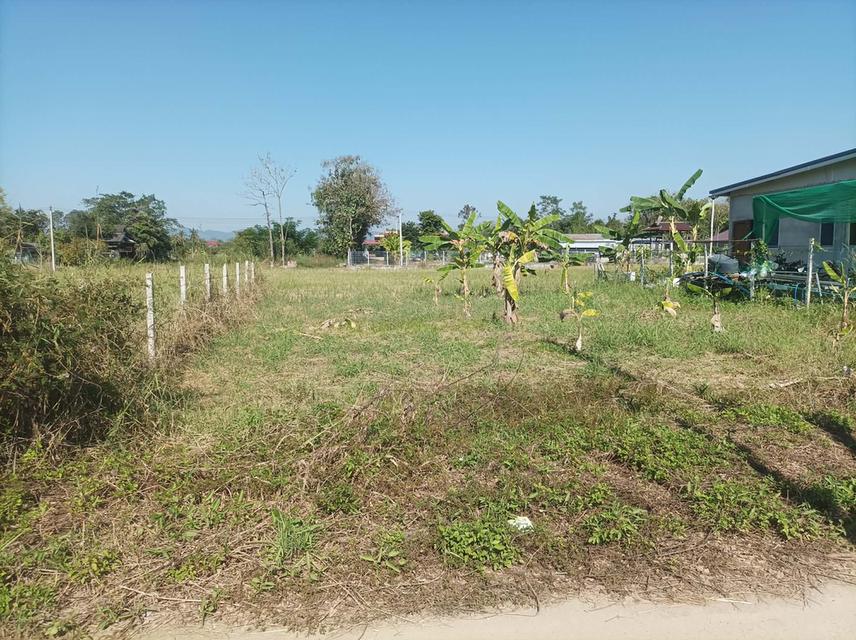 ขายที่ดิน 78ตร.ว. ต.สง่าบ้าน อ.ดอยสะเก็ด จ.เชียงใหม่ 6