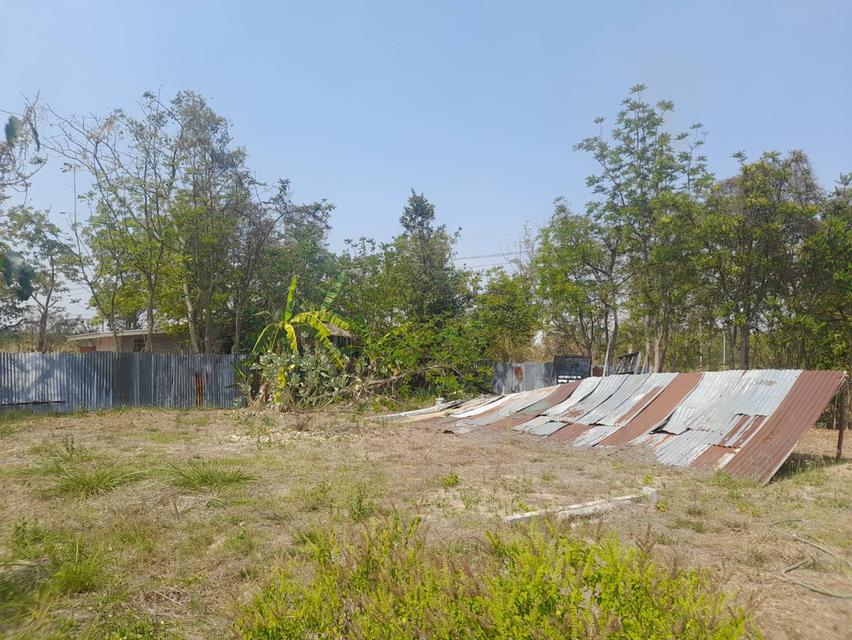 ขายด่วนที่ดิน 101 ตรว โฉนดครุฑแดง ติดถนนวงแหวนรอบเมืองโคราช  #ราคา 750,0000 บาท เท่านั้น #ขายต่ำกว่าราคาประเมิน จุดเด่น  1.ห่างถนนวงแหวนรอบเมืองโครา 1