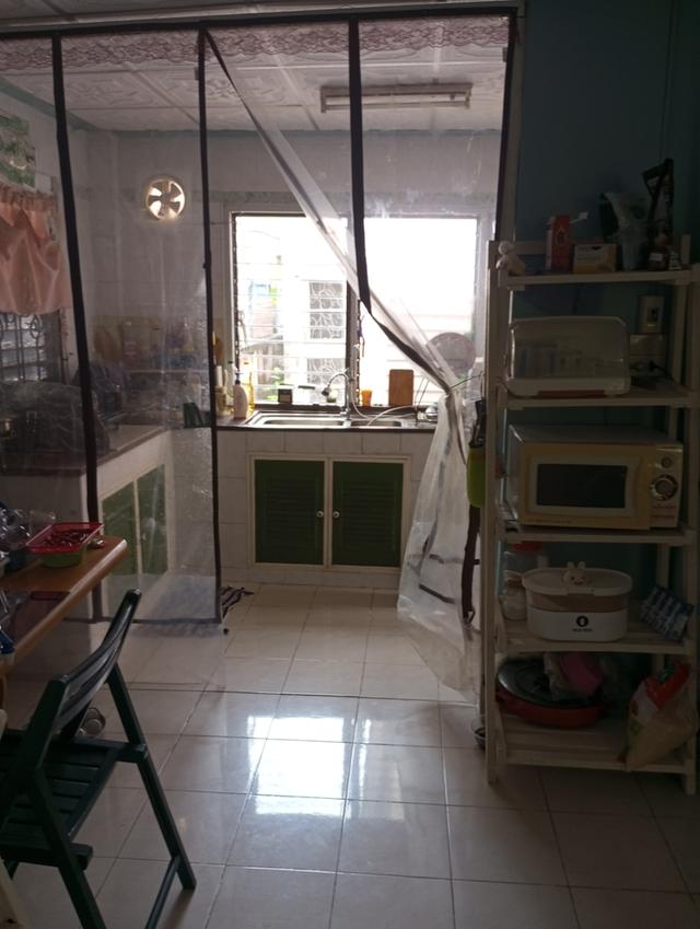 บ้านเดี่ยวหลังใหญ่  คนชอบต้นตอไม้ 16