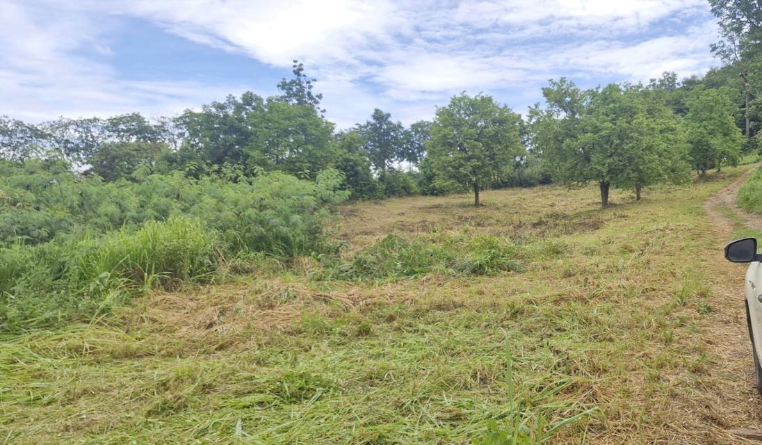 ขายที่ดินพร้อมสิ่งปลูกสร้าง 4