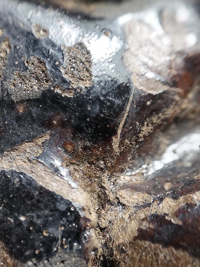 ขายพระเครื่องพระบูชา รูปที่ 15