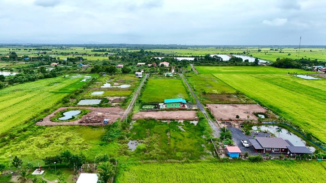 ขายที่ดินจัดสรร เงินสดและผ่อน 2