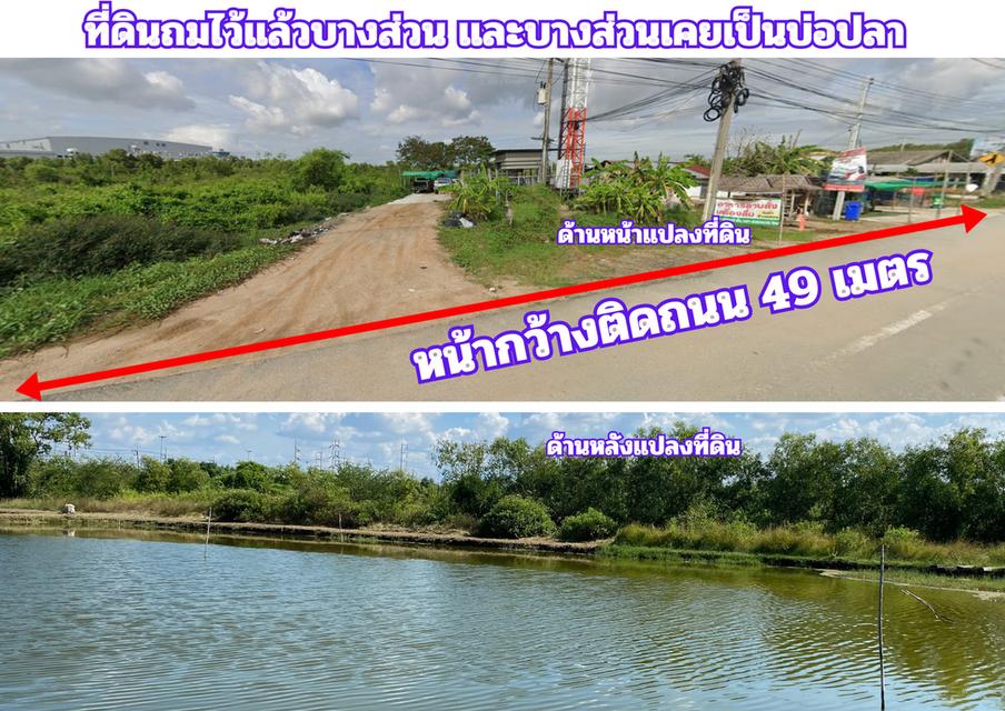 ขายที่สีม่วง 3 ไร่ ผังอีอีซี ติดถนนทางหลวงหมายเลข 3702 รถเทรลเลอร์เข้าได้ อยู่ติดนิคมบลูเทค ต.เขาดิน อ.บางปะกง จ.ฉะเชิงเทรา 4