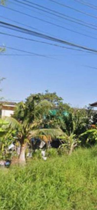 ที่ดินในกรุงเทพเขตหนองจอก 5