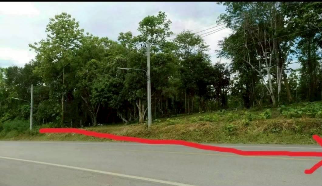 ขายที่ดินด่วนติดถนนใหญ่สายหลัก 1095 เชียงใหม่ เน 1