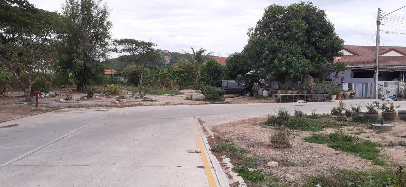 ขายที่ดินอำเภอหัวหิน 12 ไร่ 16