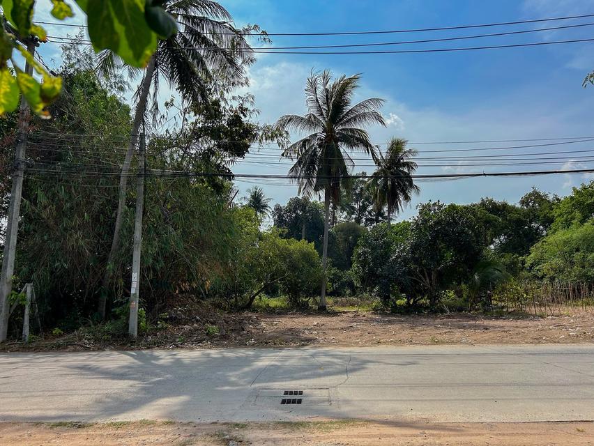 ขายที่ดินสุรศักดิ์ 200 ตรว. ถมแล้วซ.เนินสวัสดิ์ติดถนนลาดยาง ใกล้ท่าเรือแหลมฉบัง-8กม. อ.ศรีราชา ชลบุรี 5