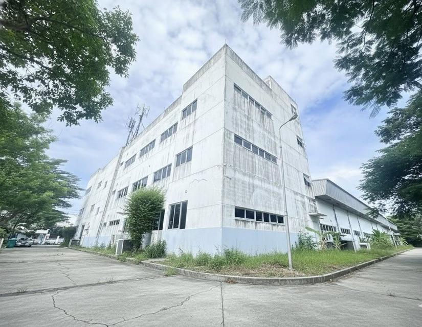 ขายโรงงานอุตสหกรรม ขายโรงงานอุตสหกรรม โรงงานผลิต/โกดังสินค้า พื้นที่สีม่วง ที่ตั้ง: นำไกร, ลาดกระบัง 2