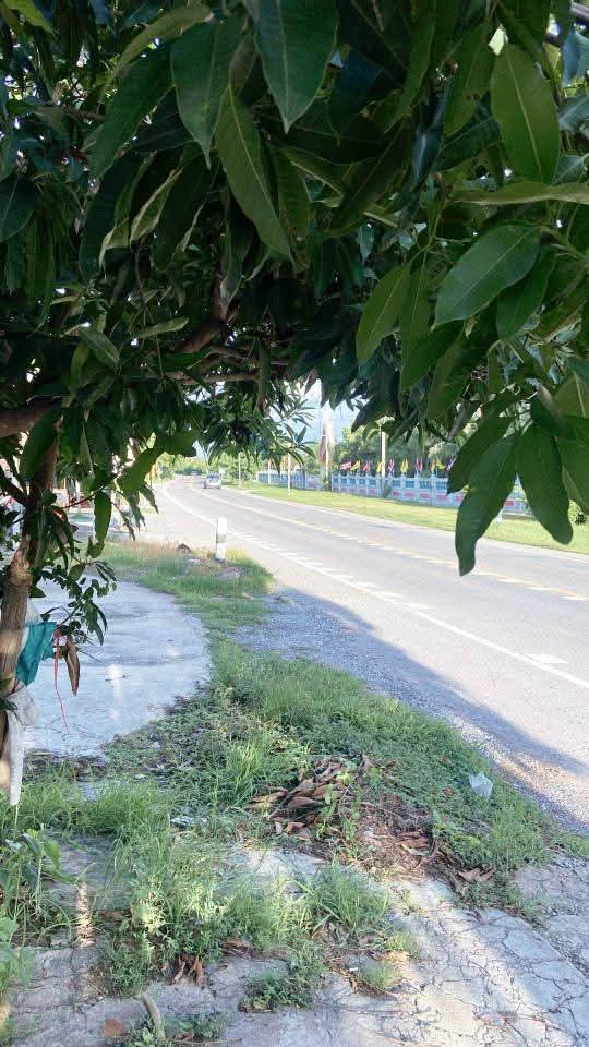 ขายบ้านพร้อมที่ดิน 6