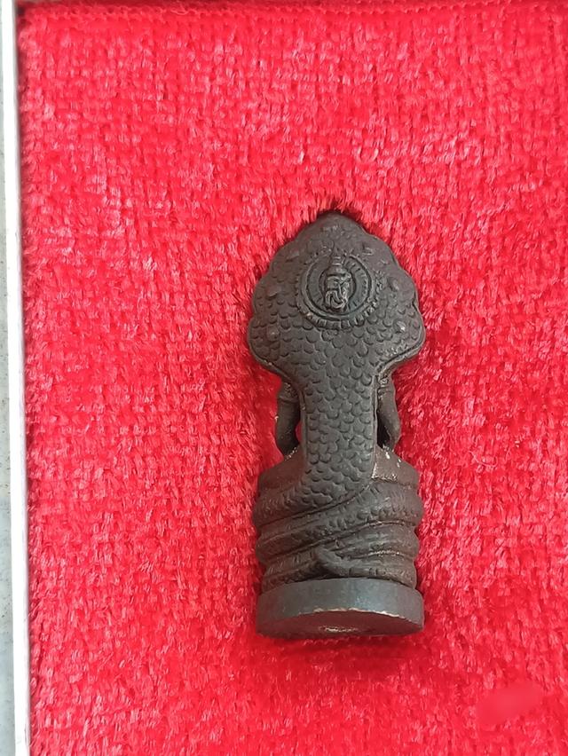 หล่อพระนาคปรกลพบุรี สธ. ปี2534 "เนื้อโลหะ" พิธีพุทธาภิเษกใหญ่ สร้างในวโรกาสพระชนมายุครบ 3 รอบ สมเด็จพระเทพฯ . 5