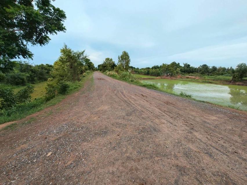 ขายที่ดินริมแม่น้ำชี ต.หัวขวาง อ.โกสุมพิสัย จ.มหาสารคาม
