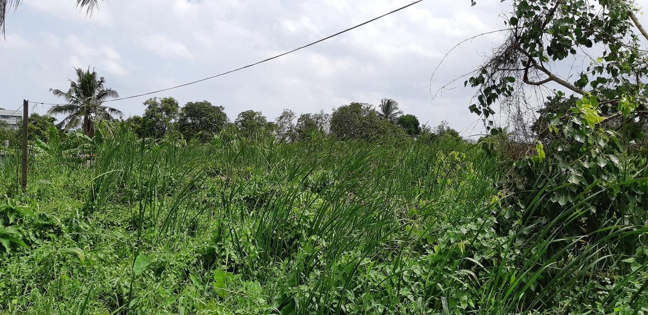 ขายที่ดินจรัญสนิทวงศ์ 23  จำนวน  8 ไร่ 2 งาน 15 ตารางวา 11