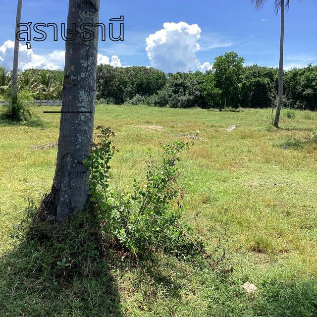 ที่ดินติดะเล 3