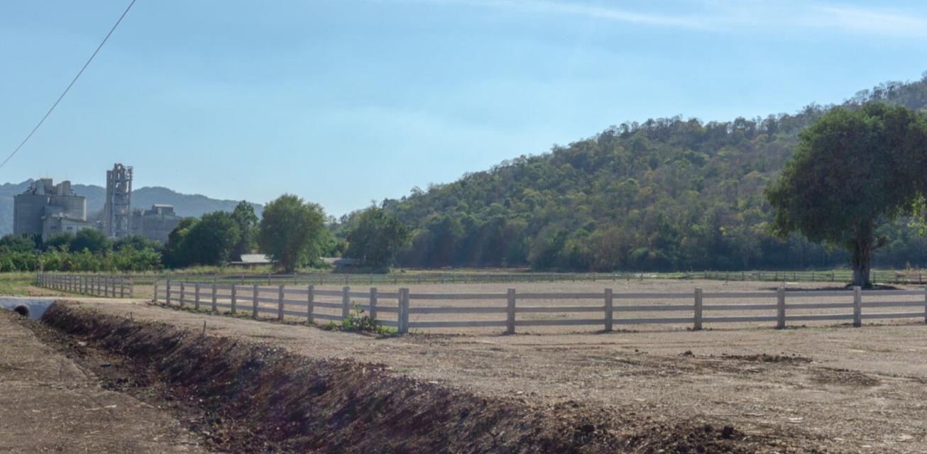 ขายที่ดินพร้อมปลูกสร้าง 5