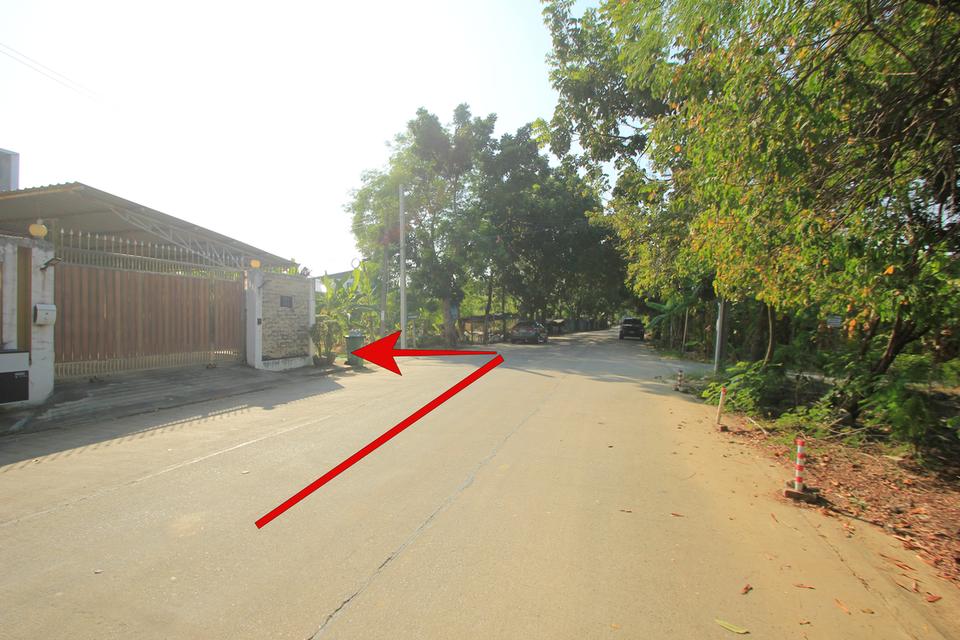ที่ดินพุทธมณฑลสาย2ซอย21 ซอยศุภมิตร 114วา ที่ดินสร้างบ้าน ติดทางสาธารณะประโยชน์ ใกล้ถนนพรานนกสาย4 ตัดใหม่ เดินทางสะดวก 30,000บาท/วา 11