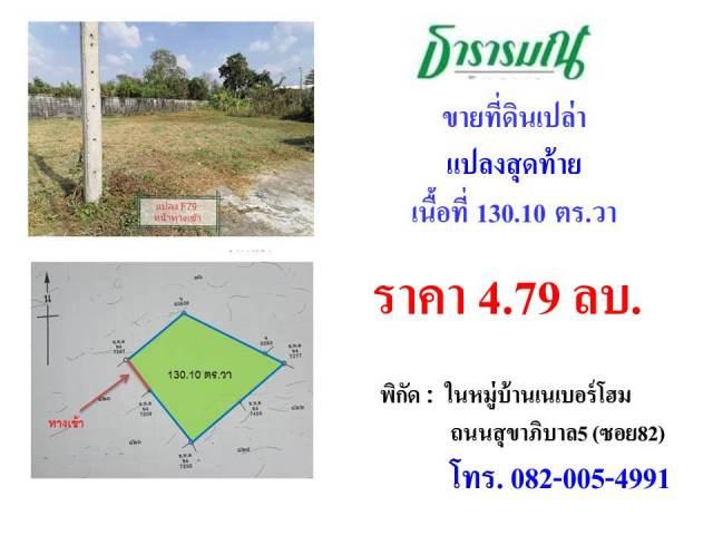 ขายที่ดินในหมู่บ้านเนเบอร์โฮม สุขาภิบาล5 ซอย 82