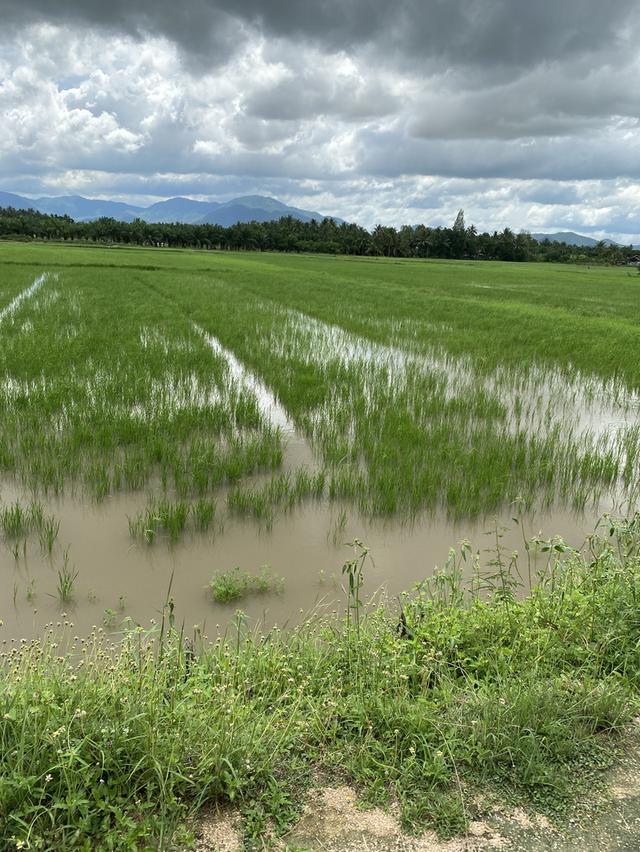 ขายที่ดินชะอำ 4 ไร่ ราคาไร่ละ 2,000,000 ล้านบาท ใกล้ถนนเพชรเกษม 100ม. ห่างจากทะเลชะอำ 10 กม 6