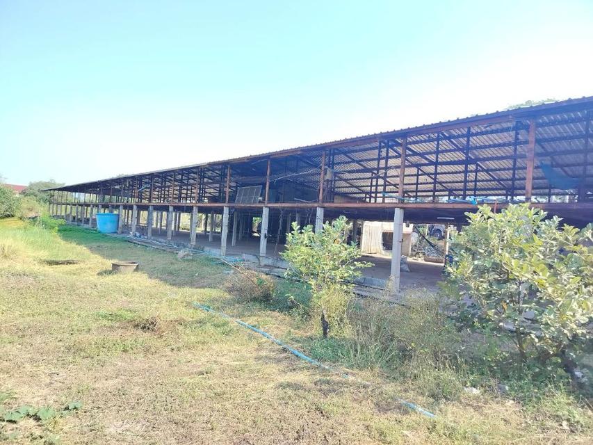 ให้เช่าพื้นที่เป็นอาคารเปิดโล่ง 250 ตร.ม. พร้อมบ้านเดี่ยว 1 หลัง อยู่ท่ามกลางสวนไร่นา บรรยากาศดีมาก ตำบลดอนพุด สระบุรี 1