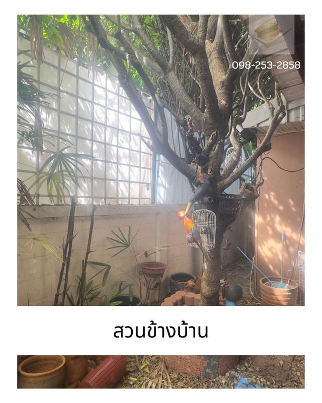 ขายบ้านเดี่ยว เดอะธารา รามอินทรา 2 ชั้น 92 ตร.วา ซอย พระยาสุเรนทร์ 35 เขตคลองสามวา กรุงเทพฯ ลดทันที 700,000 บาท 13