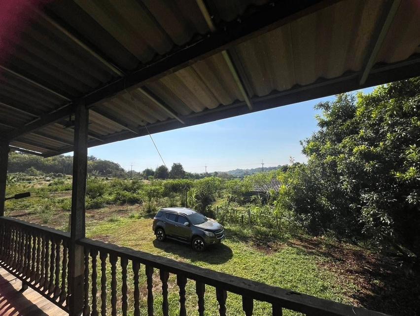 บ้านเดี่ยวพร้อมที่ดิน 3ห้องนอน3ห้องน้ำ 5