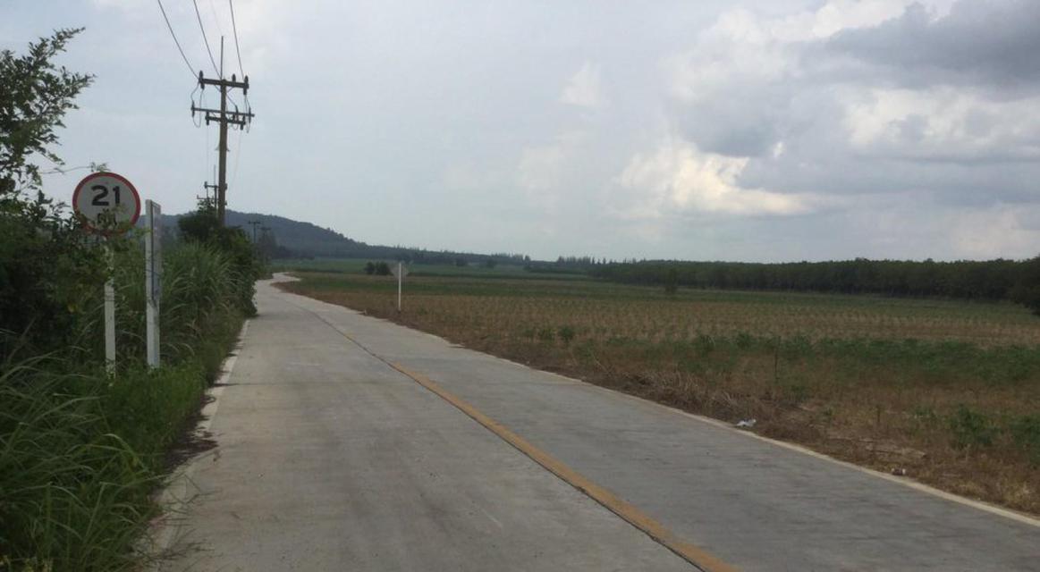 ขายที่ดิน อำเภอบ่อทอง จังหวัดชลบุรี ติดถนนสาย 3340 5