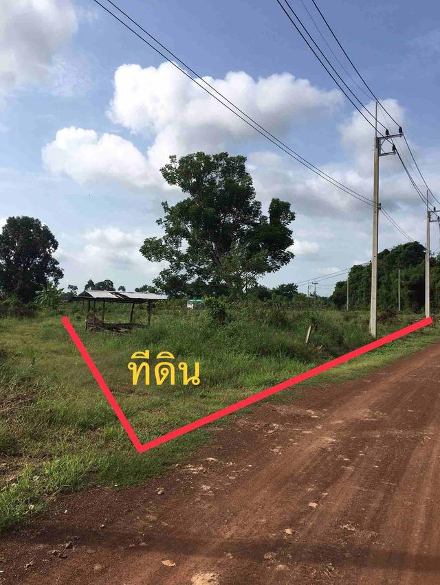 ขายที่ดินหัวหว้า 1 ไร่ เหมาะทำสวน ใกล้ถนนสี่เลนเส้น3070-2กม. อ.ศรีมหาโพธิ ปราจีนบุรี