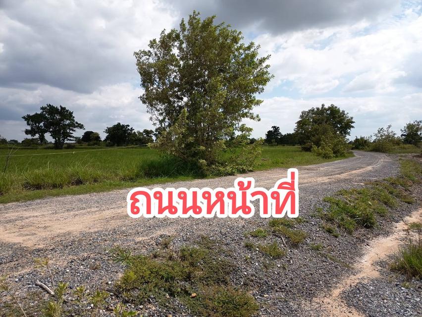 ที่นาสวยมาก ด้านหน้าติดถนน ด้านหลังติดเหมืแงส่งน้ำ มีถนนเลียบข้างที่จากด้านหน้าที่ไปหลังที่ ทรงสวย  เข้าออกได้หลายทาง  จำนวน 10 ไร่ ไร่ละ  85,000จ 5
