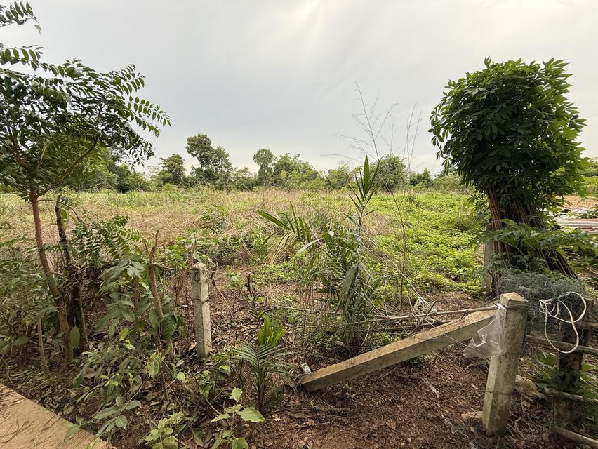 ขายที่ดิน โฉนด พร้อมโอนทำเลดี 6