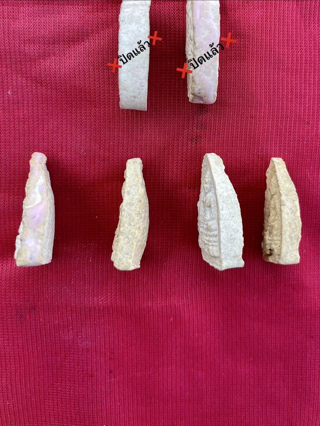 พระประธาน พิมพ์กลีบบัวเล็ก หลวงปู่โต๊ะ วัดประดู่ฉิมพลี ปี2521 เนื้อผงเกสร 4