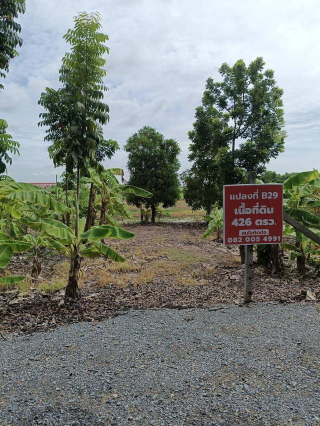 ขายที่ดินติดถนนลำลูกกา คลอง13 2